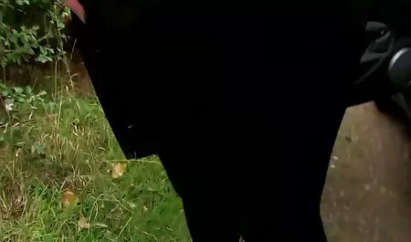Chica, cámara, dedos, xxx latinas xxx masturbación