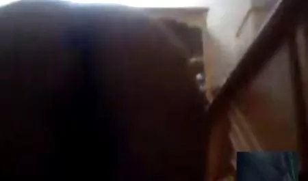 No conseguir la penetración sexo culonas latinas anal