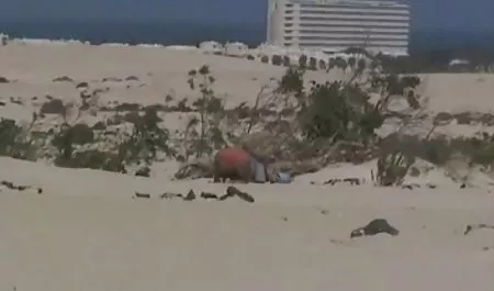 Fue duro con un latinas mega culonas impulso, hermana, mejor amiga