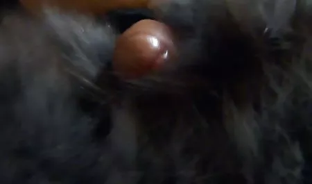 Mostrar grandes latinas culonas calientes tetas mamada morena